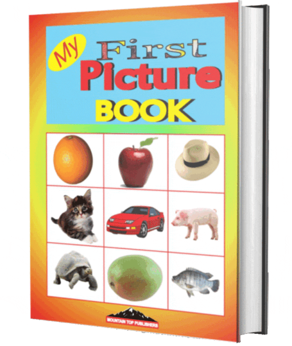 My First Picture Book
