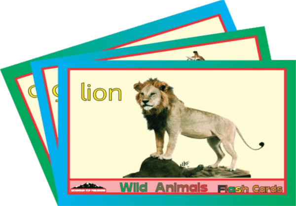 Wild animals flashcards